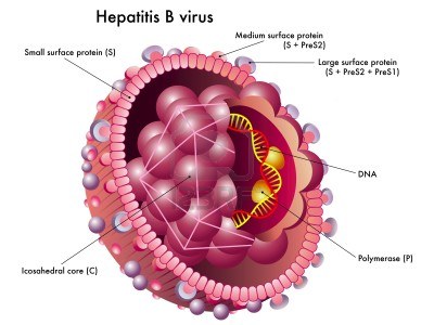 Хепатит В: причини, симптоми и лечение