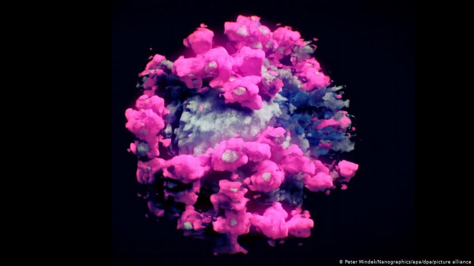 Първата 3D снимка на коронавирус